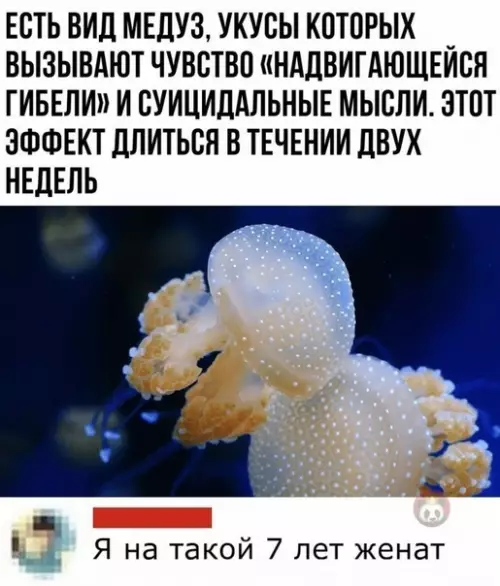 Смешная картинка №492937 Прими мои соболезнования, мужик