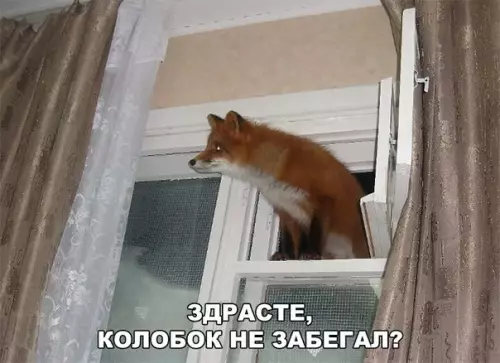Смешная картинка №201773