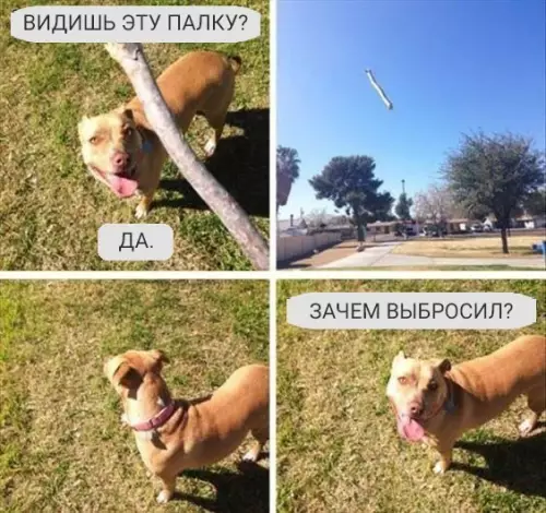 Смешная картинка №233312