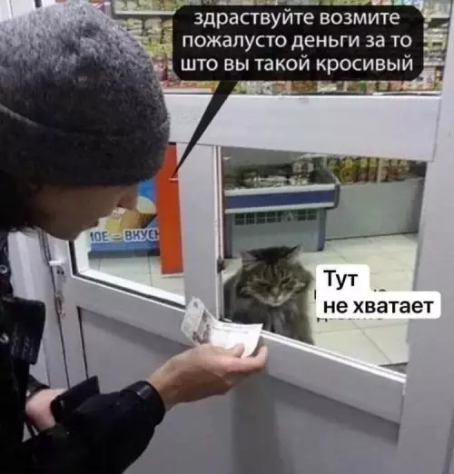Смешная картинка №669752