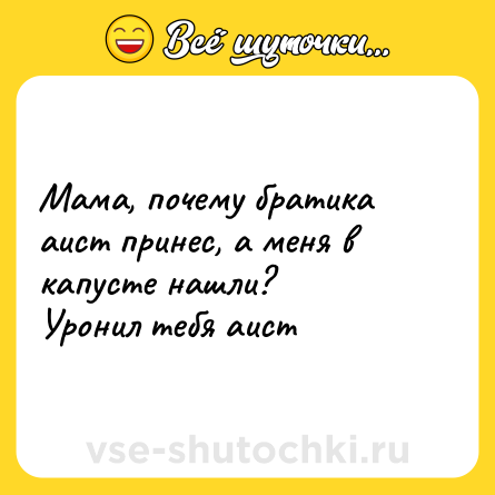 Шутка: Мама, почему братика аист принес, а меня в капусте нашли?<br>Уронил тебя аист