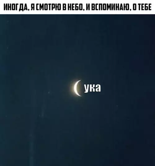 Смешная картинка №273749