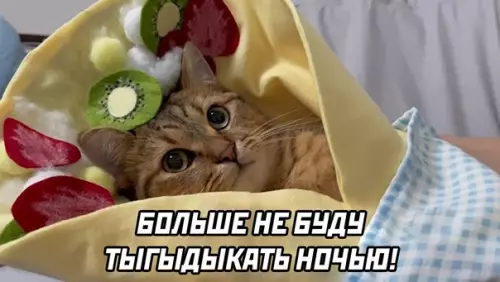 продолжение Смешная картинка №579792