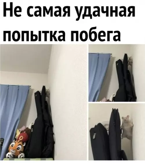 Смешная картинка №562191 Действительно