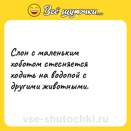 Шутка: Слон с маленьким хоботом стесняется ходить на водопой с другими животными.