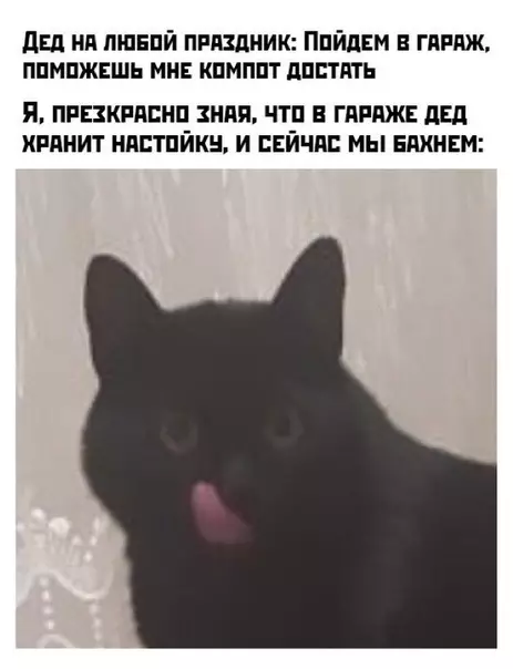 Смешная картинка №473299