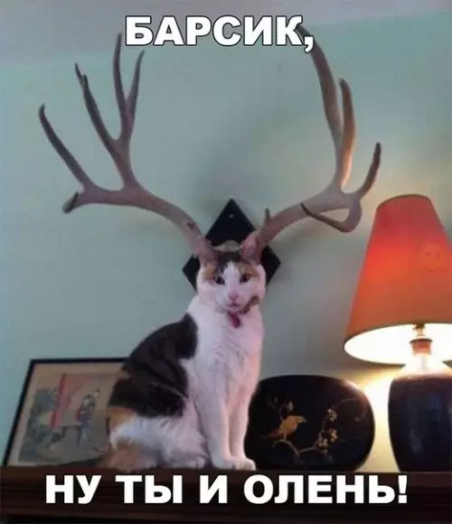 Смешная картинка №268534