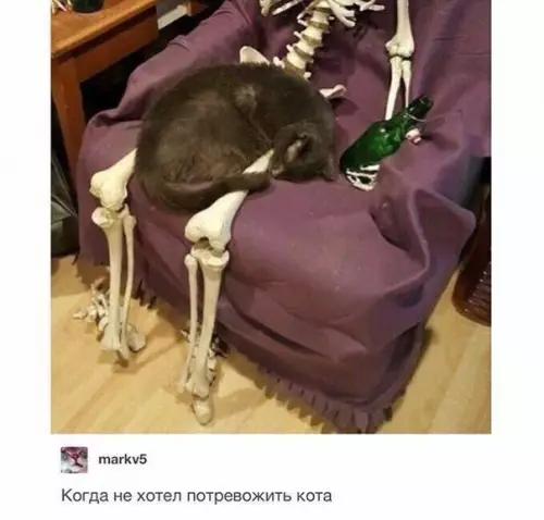 Смешная картинка №267686