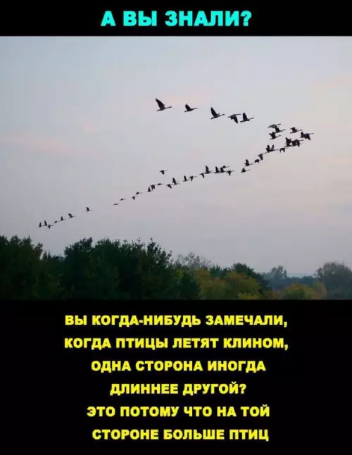 Смешная картинка №704891
