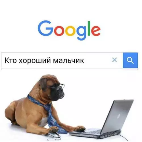 Смешная картинка №196391