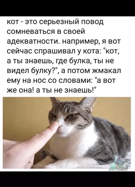 Смешная картинка №345774