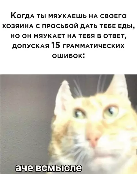 Смешная картинка №534900