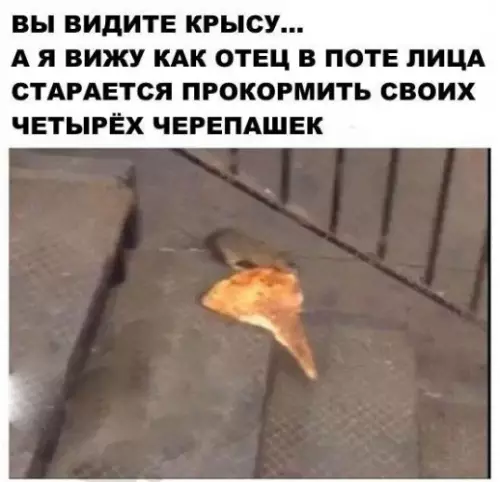 Смешная картинка №294156