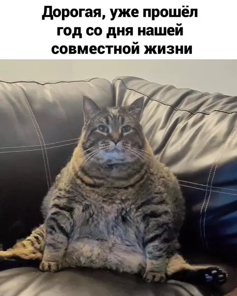 Смешная картинка №559530 Coвмecтнaя жизнь