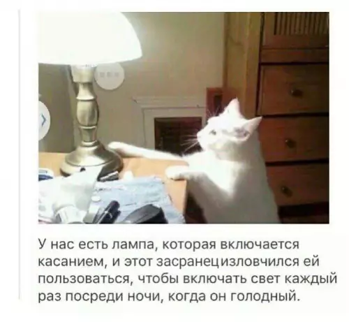 Смешная картинка №775075