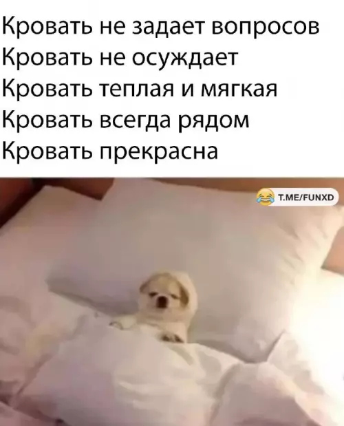 Смешная картинка №661455