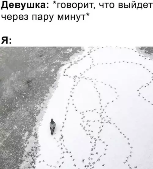 Смешная картинка №490108