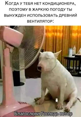 Смешная картинка №650717