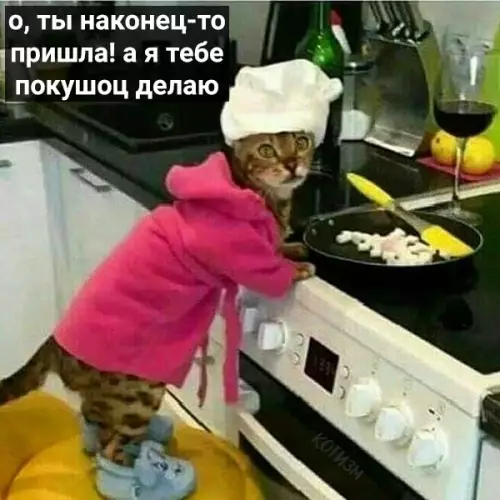 Смешная картинка №422686 Иногда просто хочется прийти домой, а там тебя ждёт такой кот