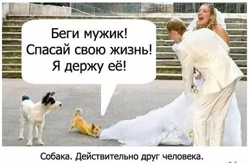 Смешная картинка №281851