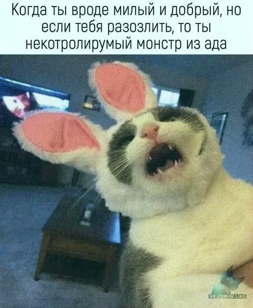 Смешная картинка №314407 ААА