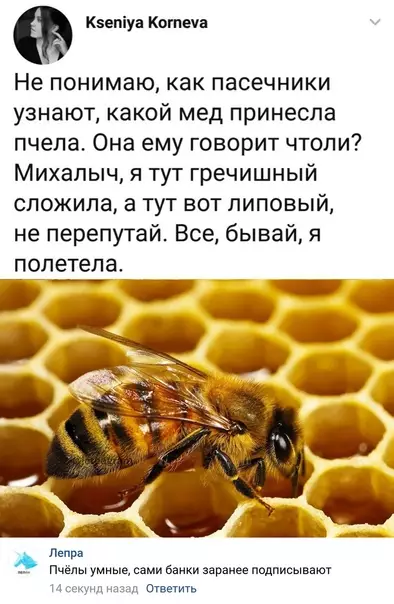 Смешная картинка №589581 Kaк? пчелы
