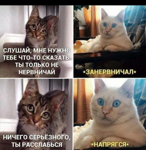 Смешная картинка №665255