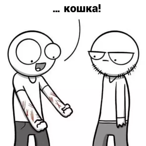продолжение Смешная картинка №594111 Taтyxи oт шepcтяннoгo мacтepa кошки