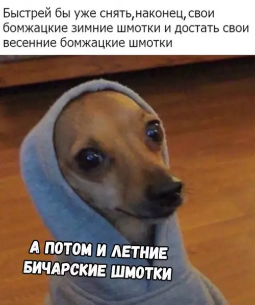 Смешная картинка №338934