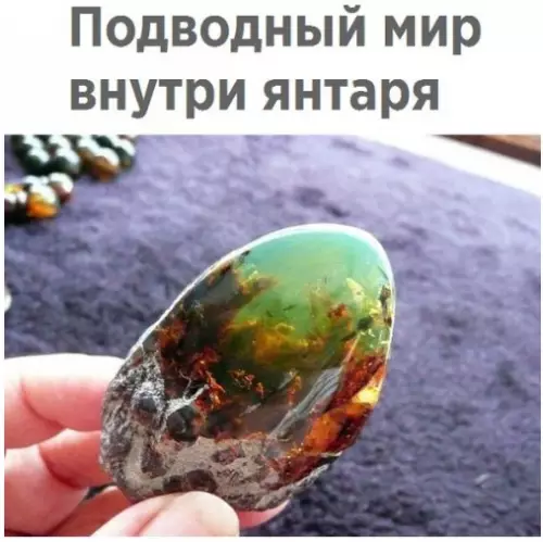 Смешная картинка №212189