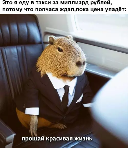 Смешная картинка №774256