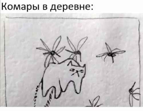 продолжение Смешная картинка №593673 Есть два типа комаров: