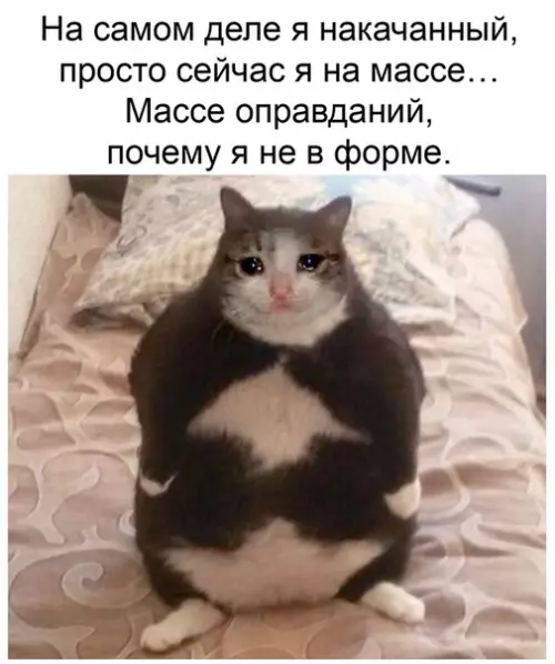 Смешная картинка №484953 Коротко обо мне: