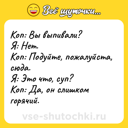 Шутка: Коп: Вы выпивали?<br>Я: Нет.<br>Коп: Подуйте, пожалуйста, сюда.<br>Я: Это что, суп?<br>Коп: Да, он слишком горячий.