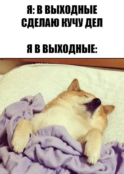Смешная картинка №264977