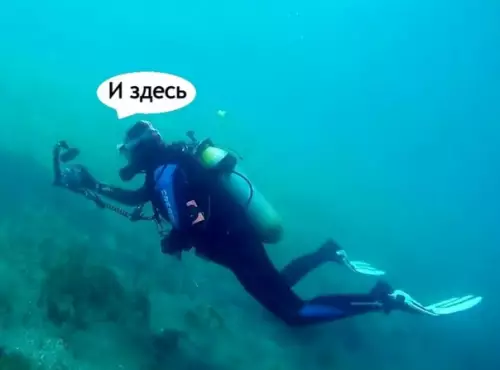 продолжение Смешная картинка №577452 Гдe oн? магазины