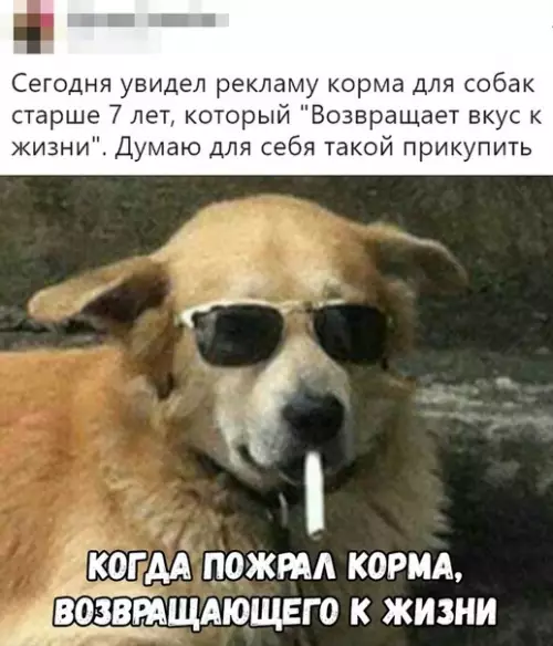 Смешная картинка №330618