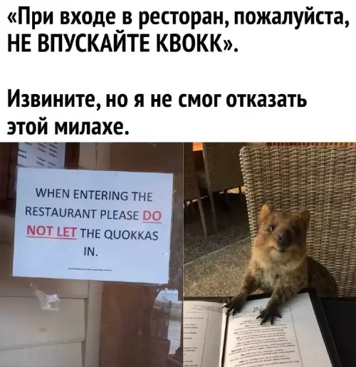 Смешная картинка №687902