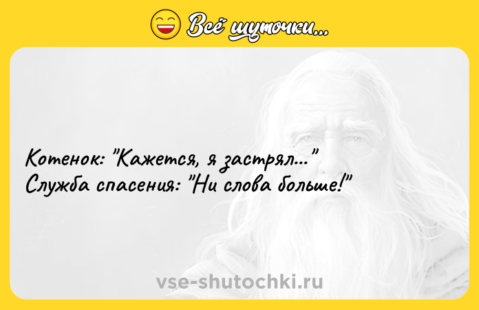Цитата: Котенок: Кажется, я застрял... Служба спасения: Ни слова больше!