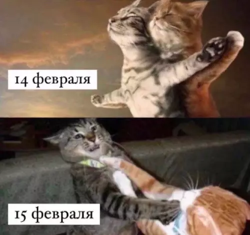 Смешная картинка №712535 Четырнадцатое февраля 