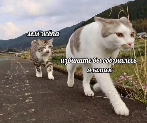 Смешная картинка №736445 произошла ошибочка