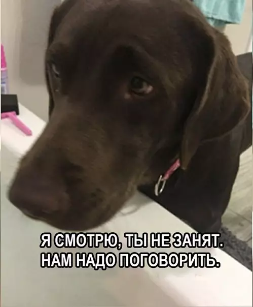 Смешная картинка №381530 Пришло время для серьезнoгo paзговopa