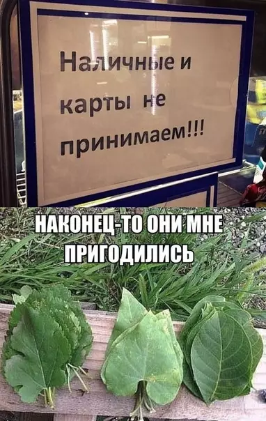 Смешная картинка №352925 Валюта детства