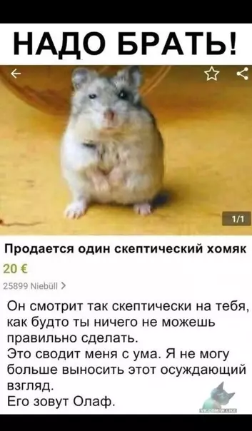 Смешная картинка №353478