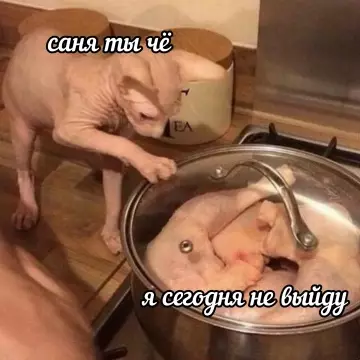 Смешная картинка №802300