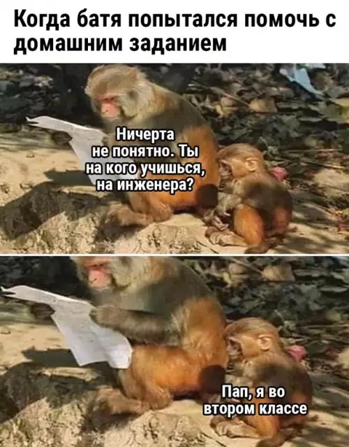 Смешная картинка №699238 Ведь это действительно так жизненно