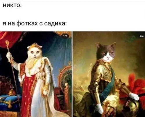 Смешная картинка №736108