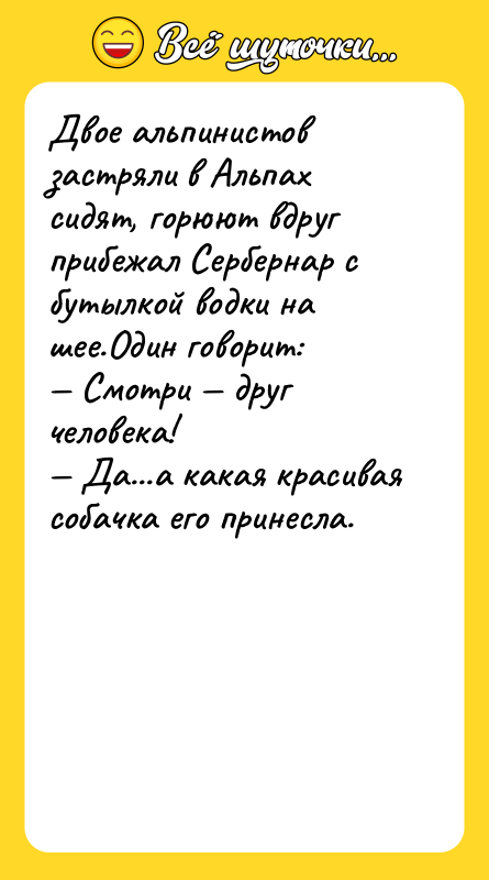 Двое альпинистов застряли в Альпах сидят, горюют вдруг прибежал Сербернар