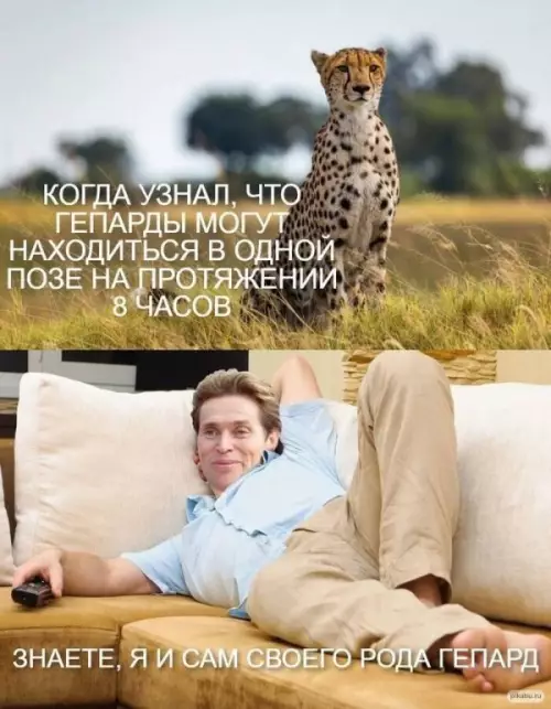 Смешная картинка №645203