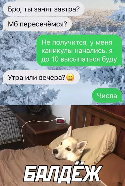 Смешная картинка №620164